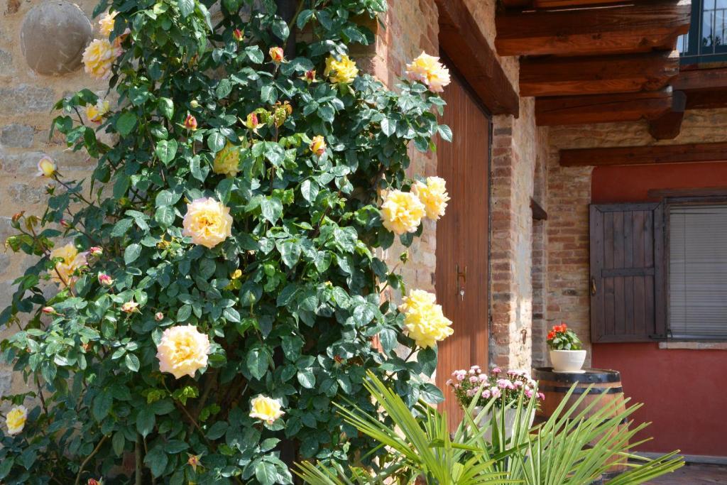 Da Fabiana Bed & Breakfast Bossolasco Exterior photo